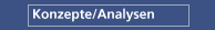 Konzepte/Analysen